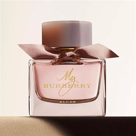 burberry classic donna|burberry perfume macy's.